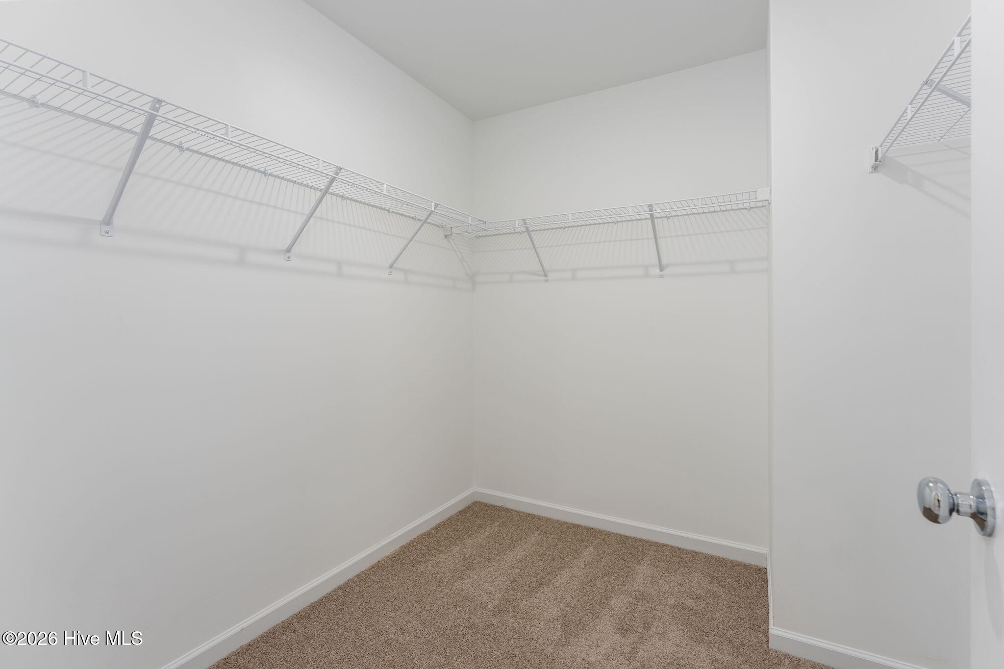 100561405 | Photo 17