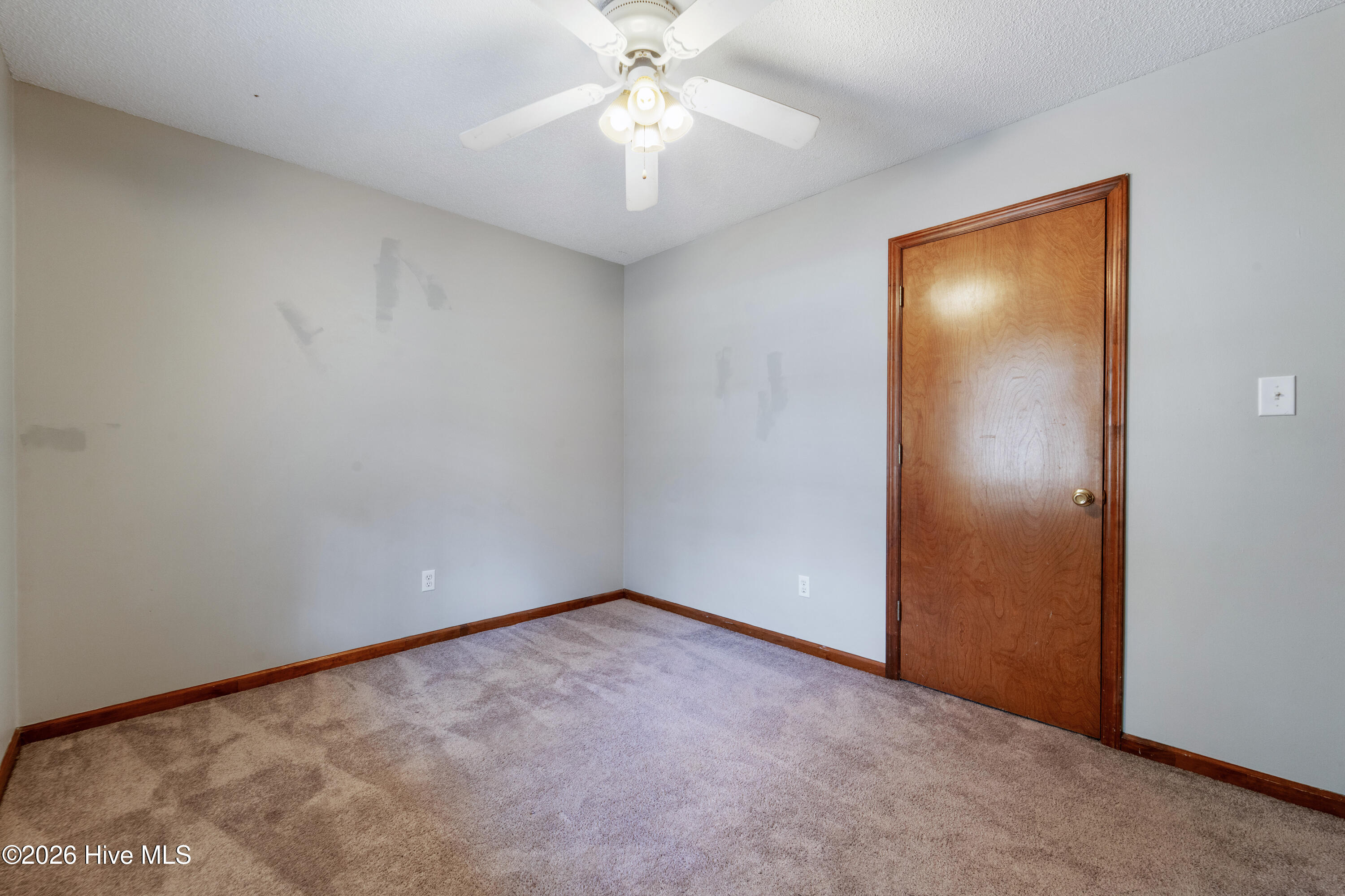 100557968 | Photo 33