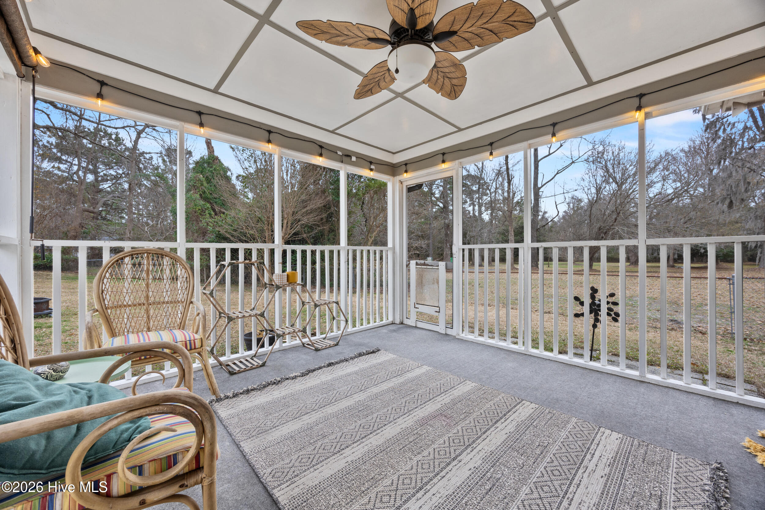 100557502 | Photo 24