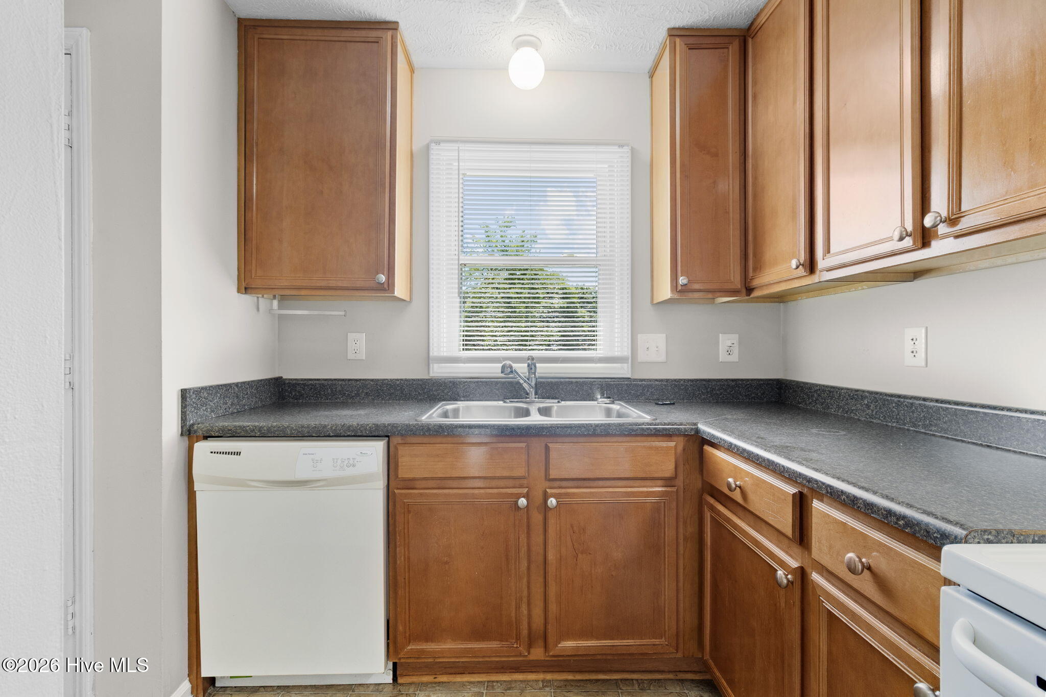 8-web-or-mls-2B5A0729