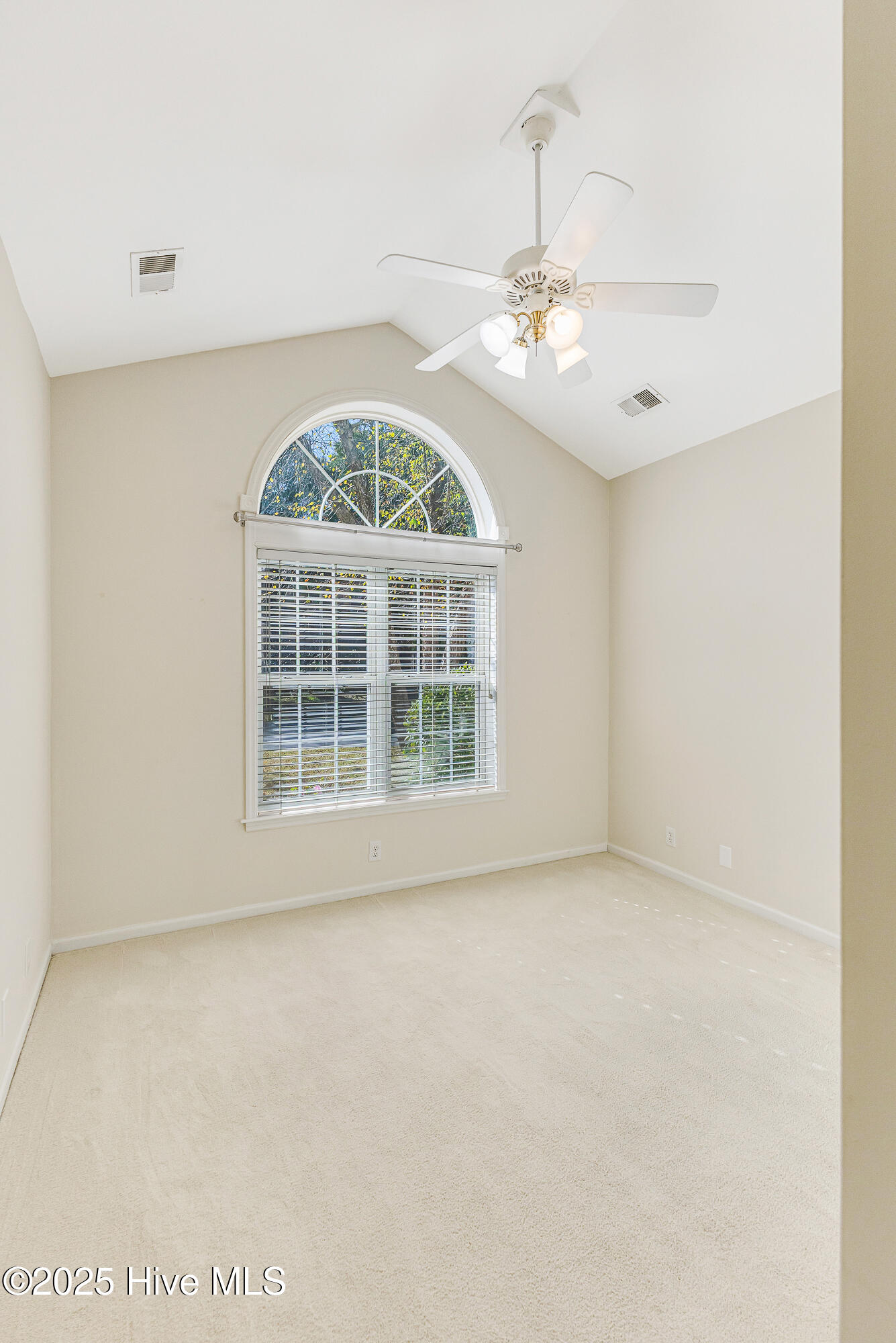 100540524 | Photo 14