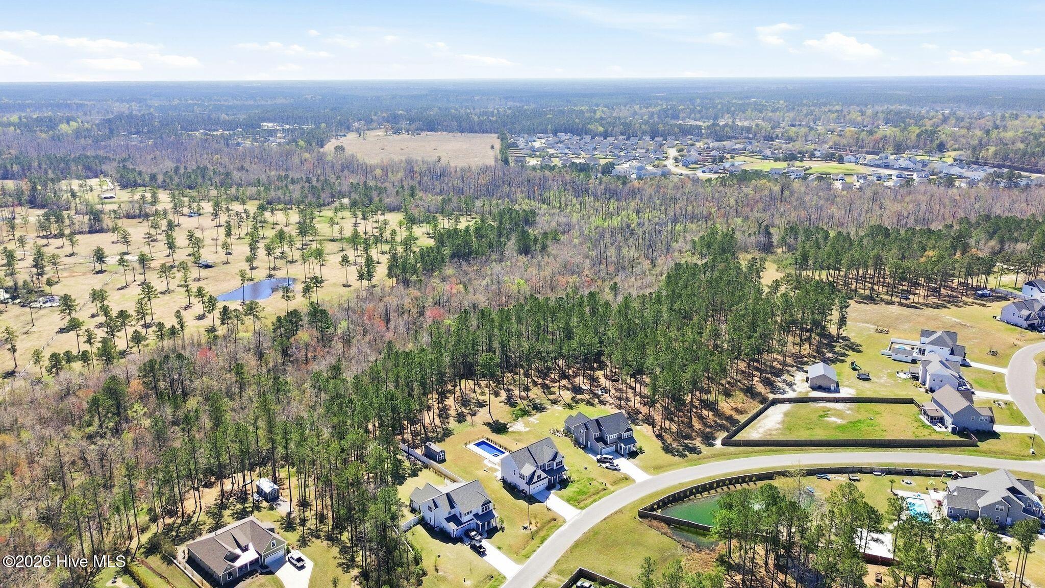 100562109 | Photo 125