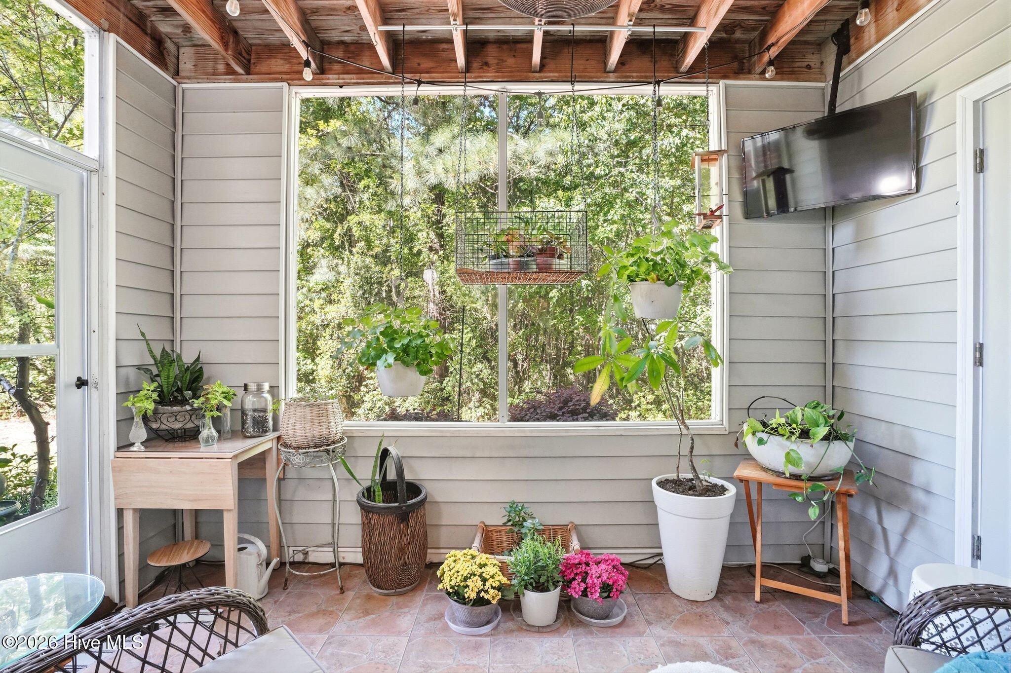 100566564 | Photo 37