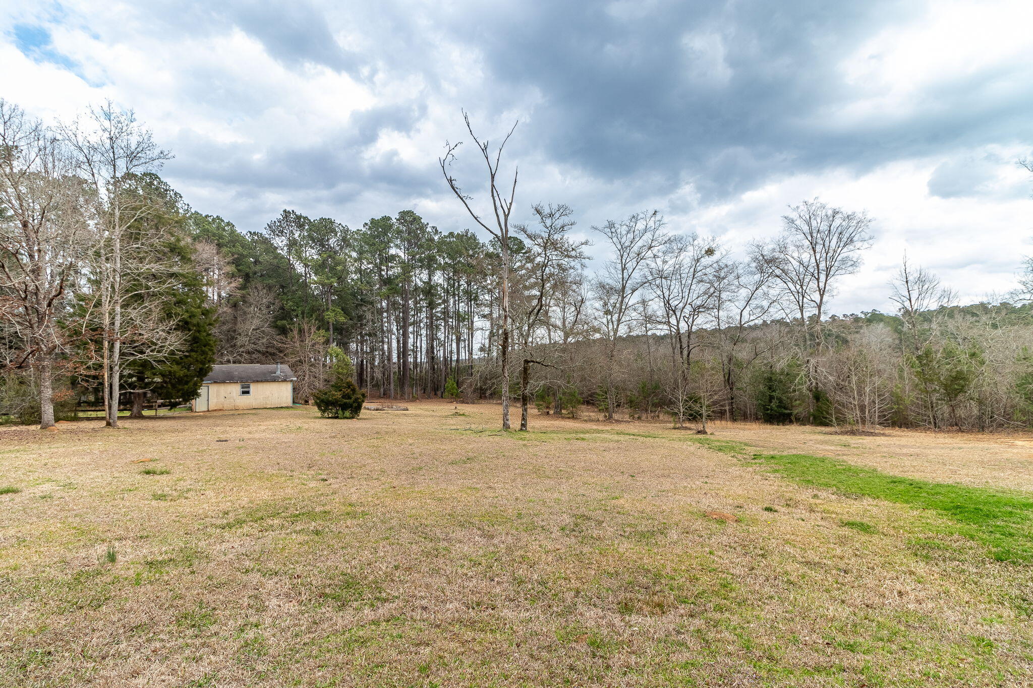 56-web-or-mls-1545 SWINT RD ©-1110