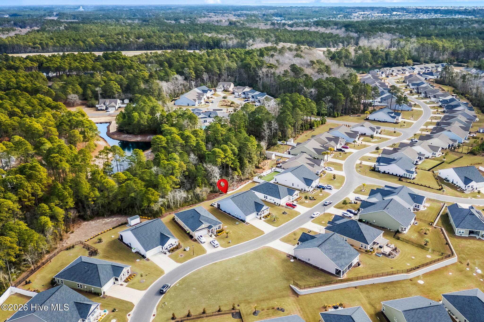 100552954 | Photo 39