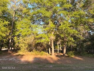2000 Oyster Harbour Parkway SW, Supply, NC 28462 – photo 7: IMG_8473