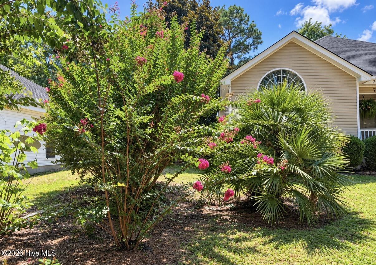 Photo 2 of Single family home for sale at 7 Deer Dr, Warrenville, SC 29851 | MLS# 100592501 | Listing updated on 2026-09-25