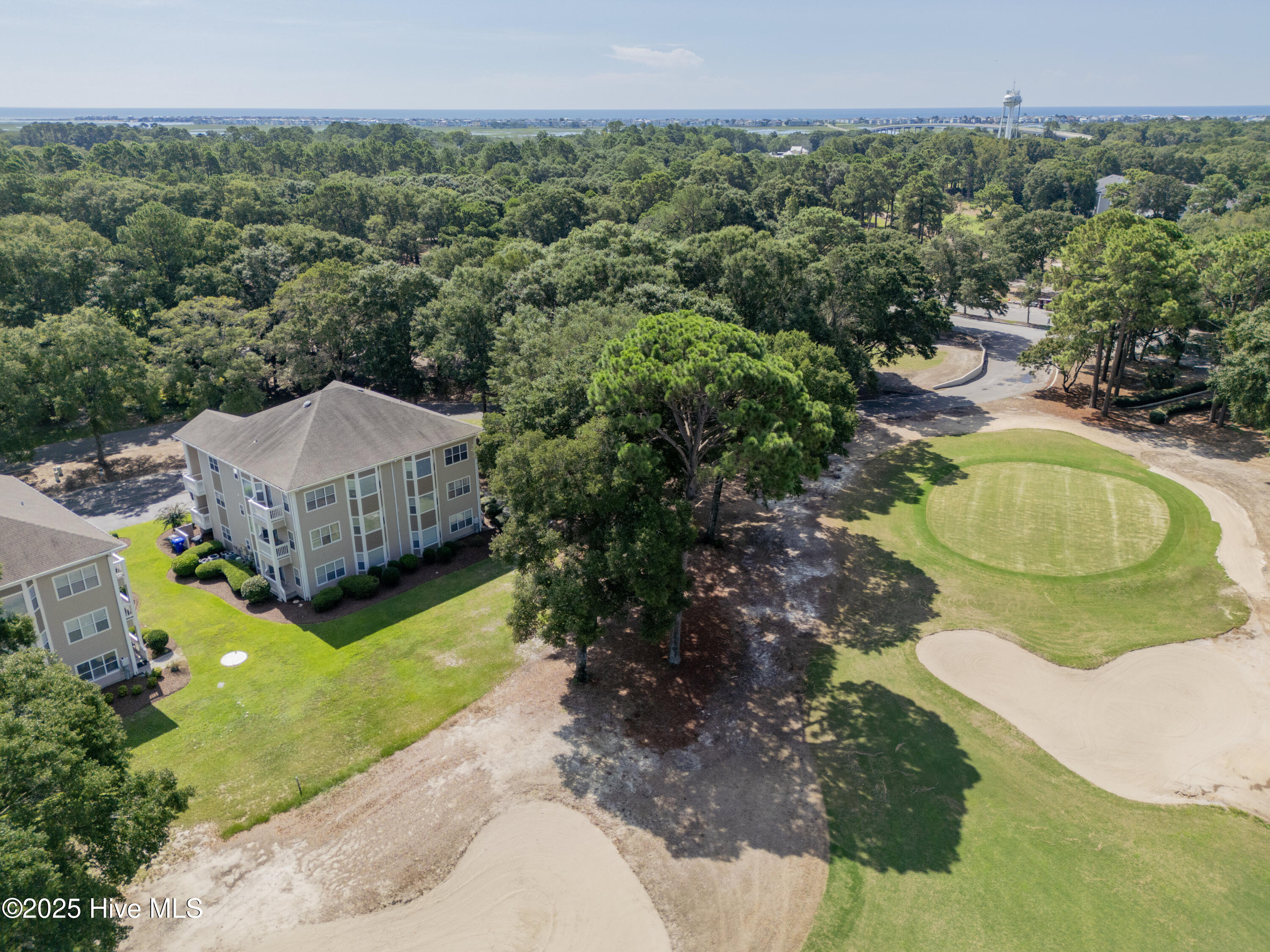 100527384 | Photo 30