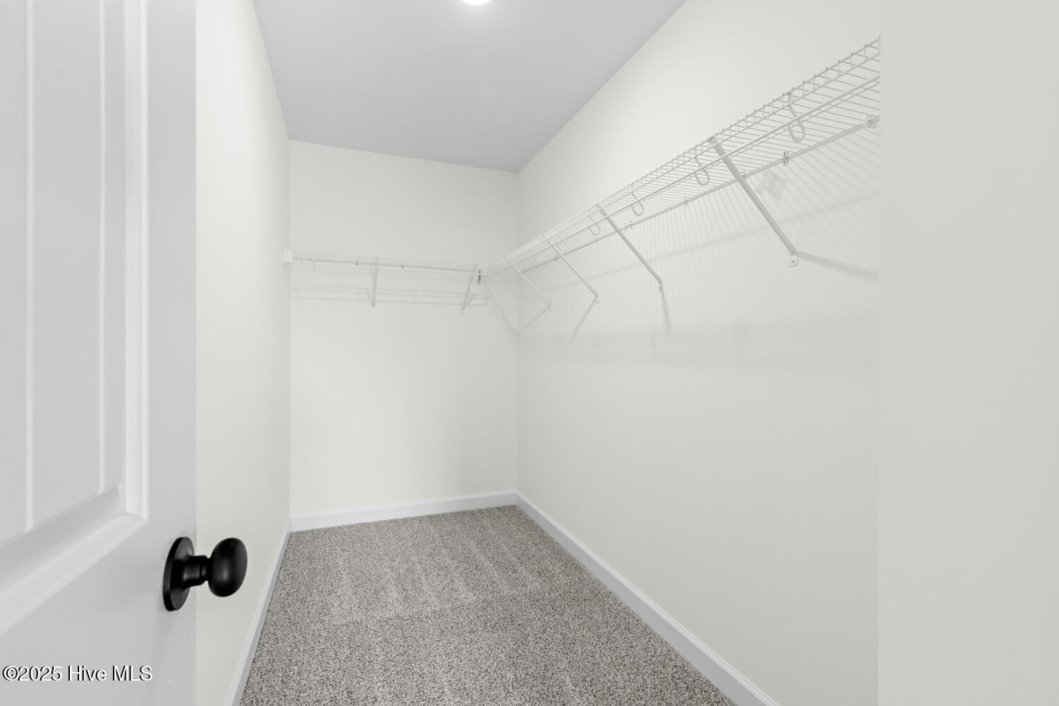 100539623 | Photo 24