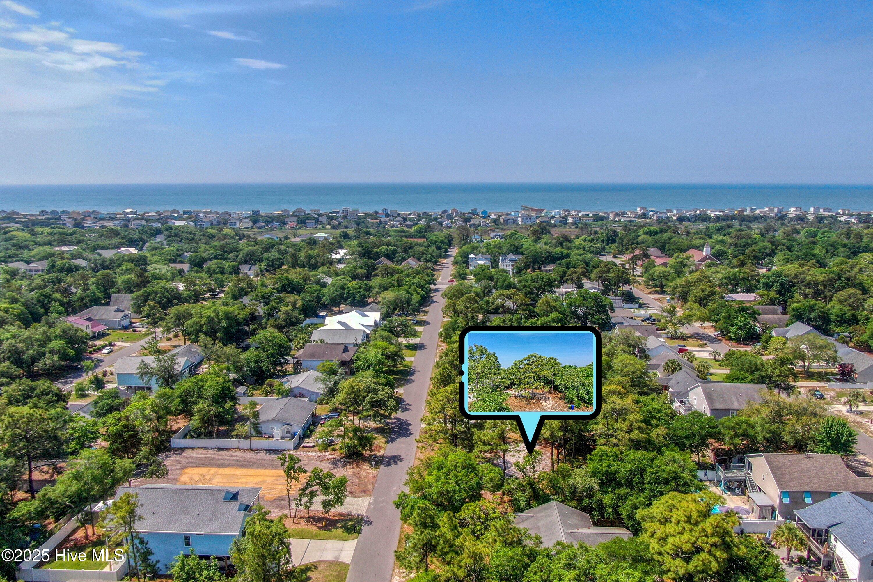 100509616 | Photo 18