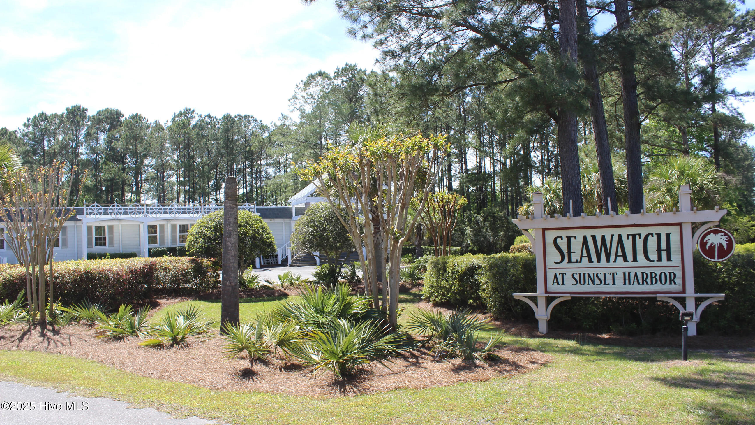 100537919 | Photo 17