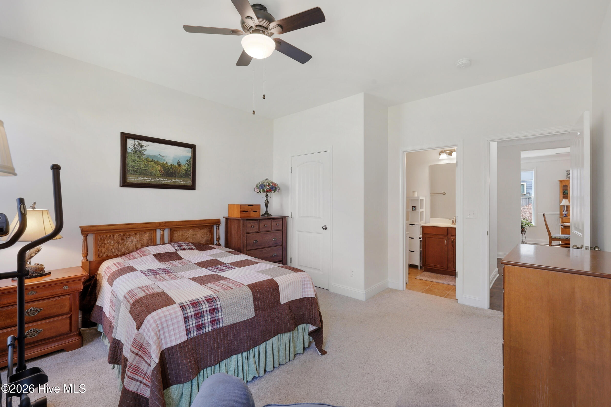 100565856 | Photo 26