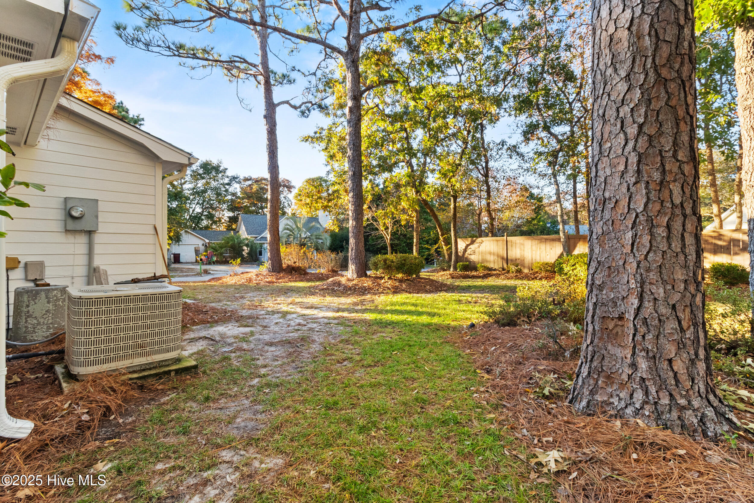 100540145 | Photo 32