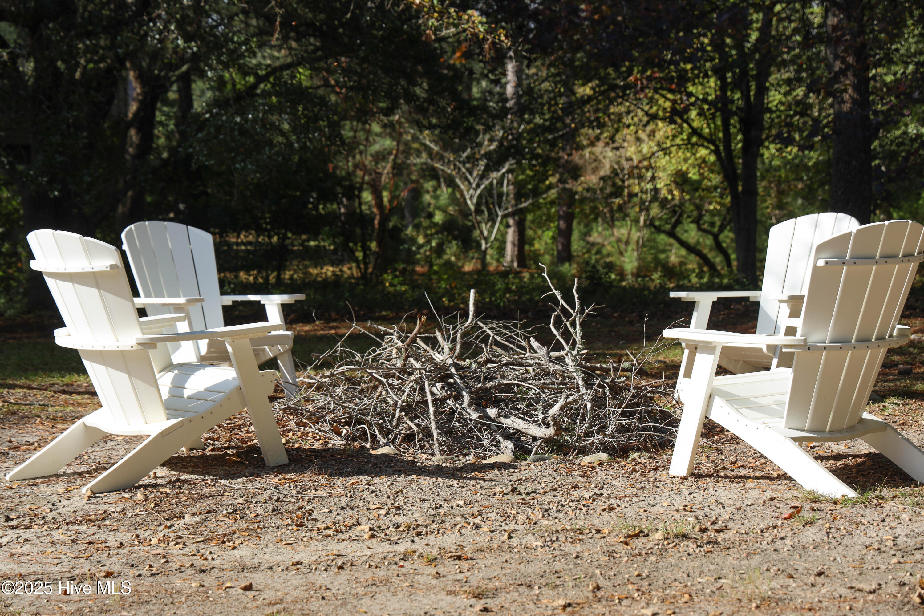 100556308 | Photo 105