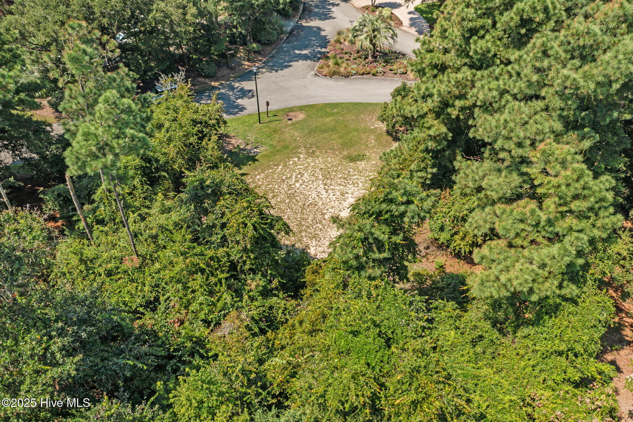 100525886 | Photo 14