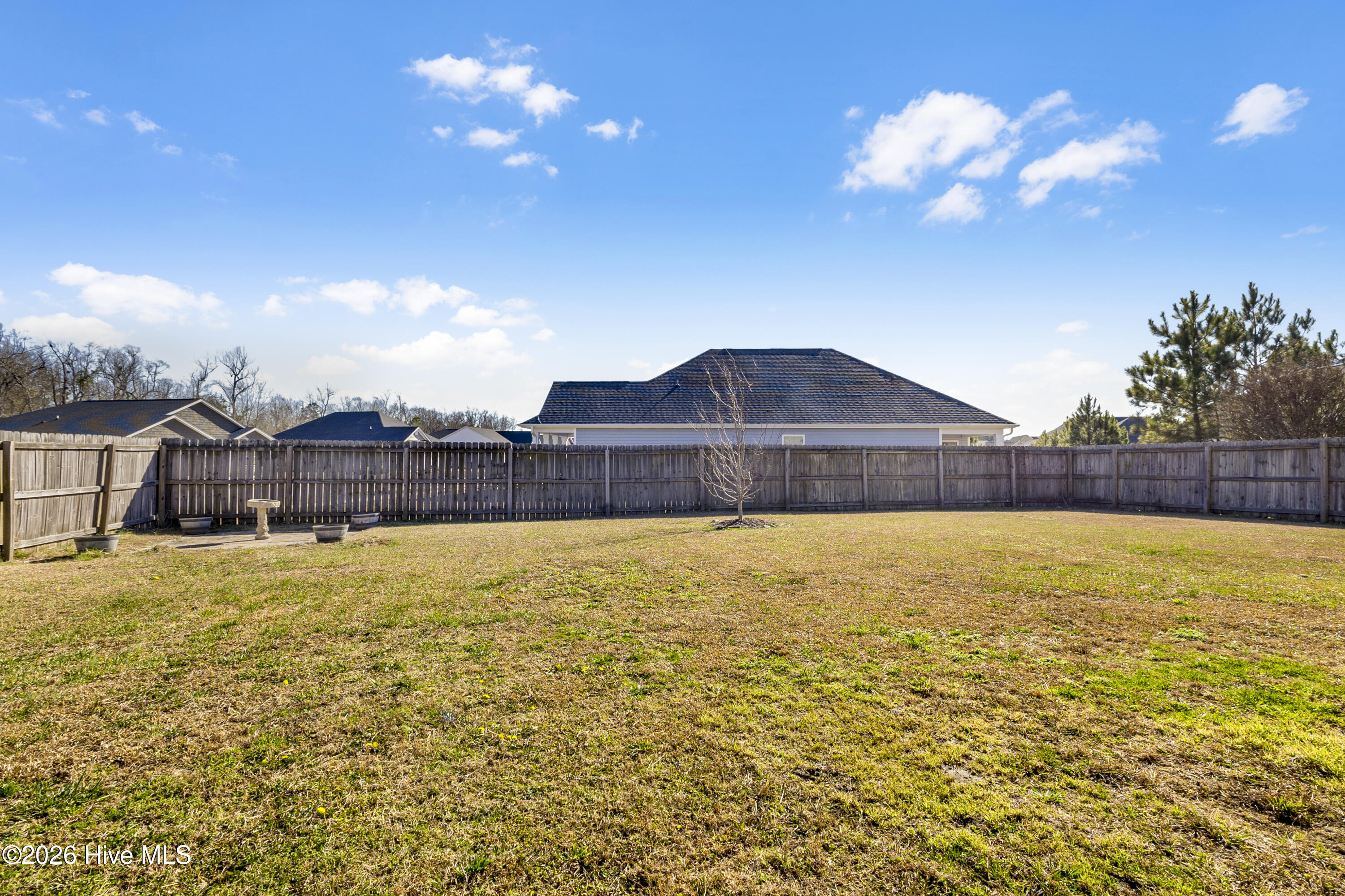 100552457 | Photo 34