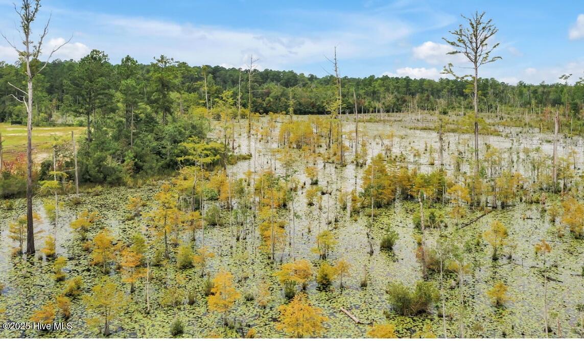 100504339 | Photo 26