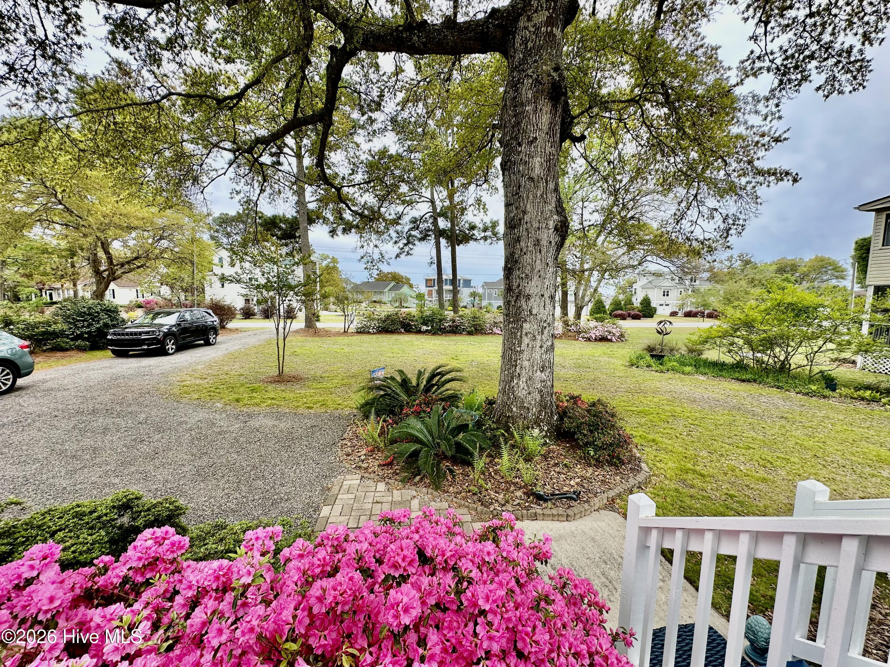 100561830 | Photo 36