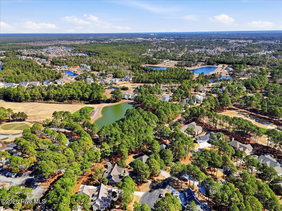 100556407 | Photo 79