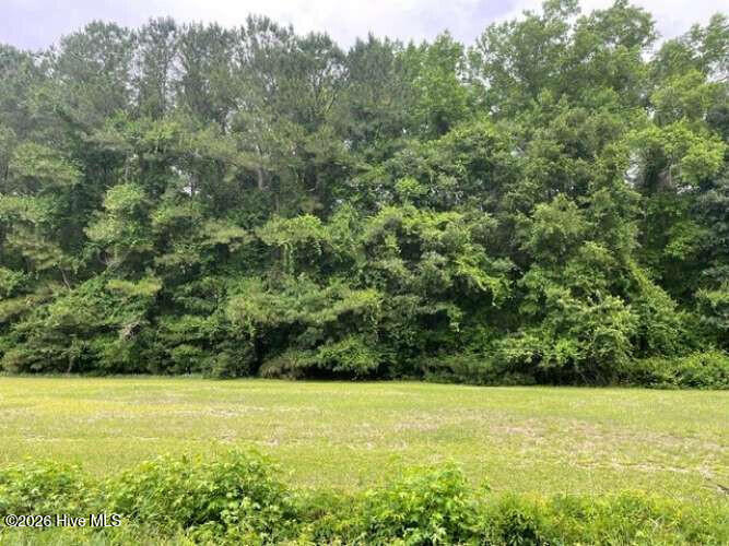 Exterior photo of Tbd Point Caswell Road, Watha, NC 28478. MLS: 100579171