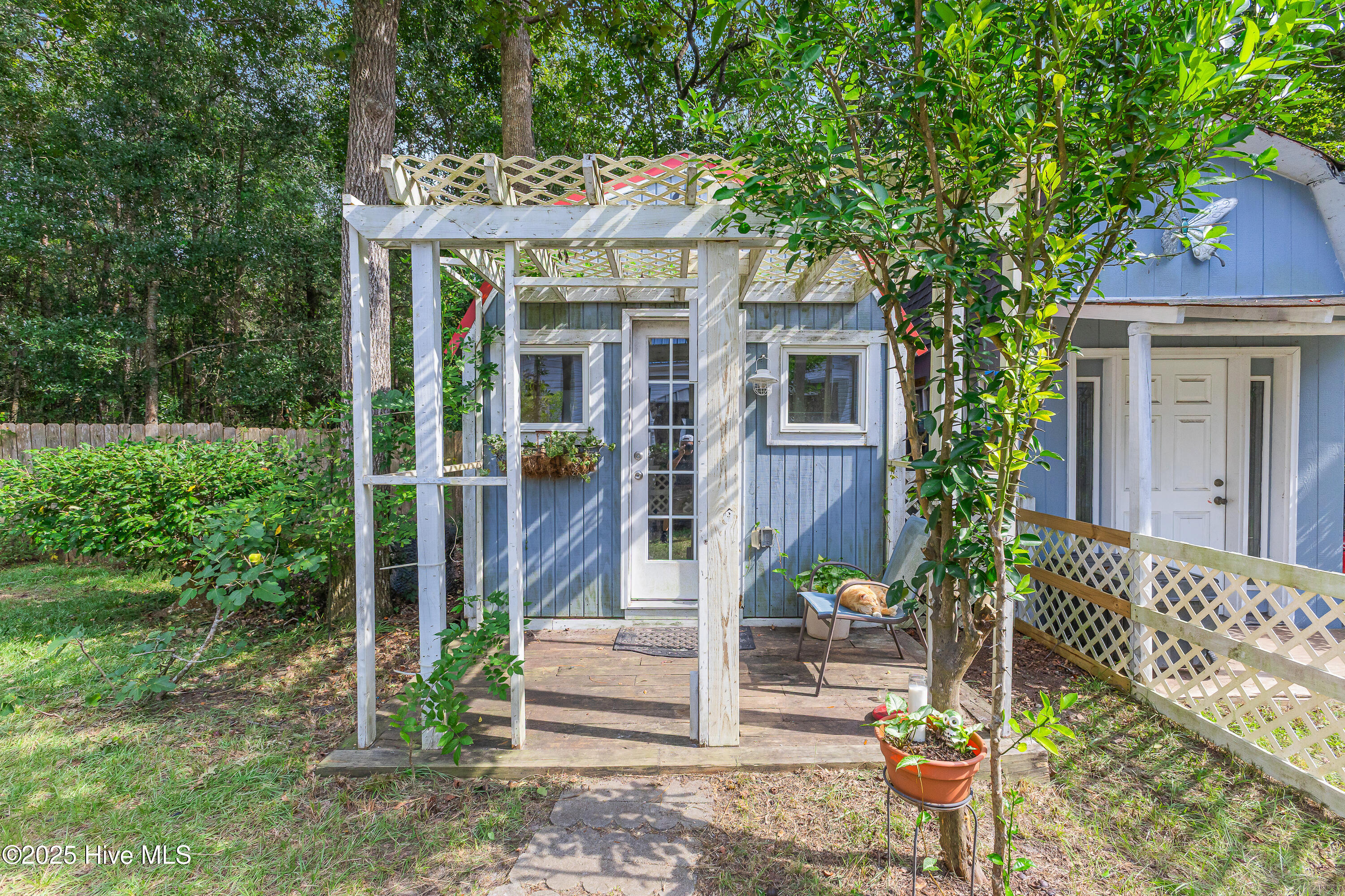 100531169 | Photo 59