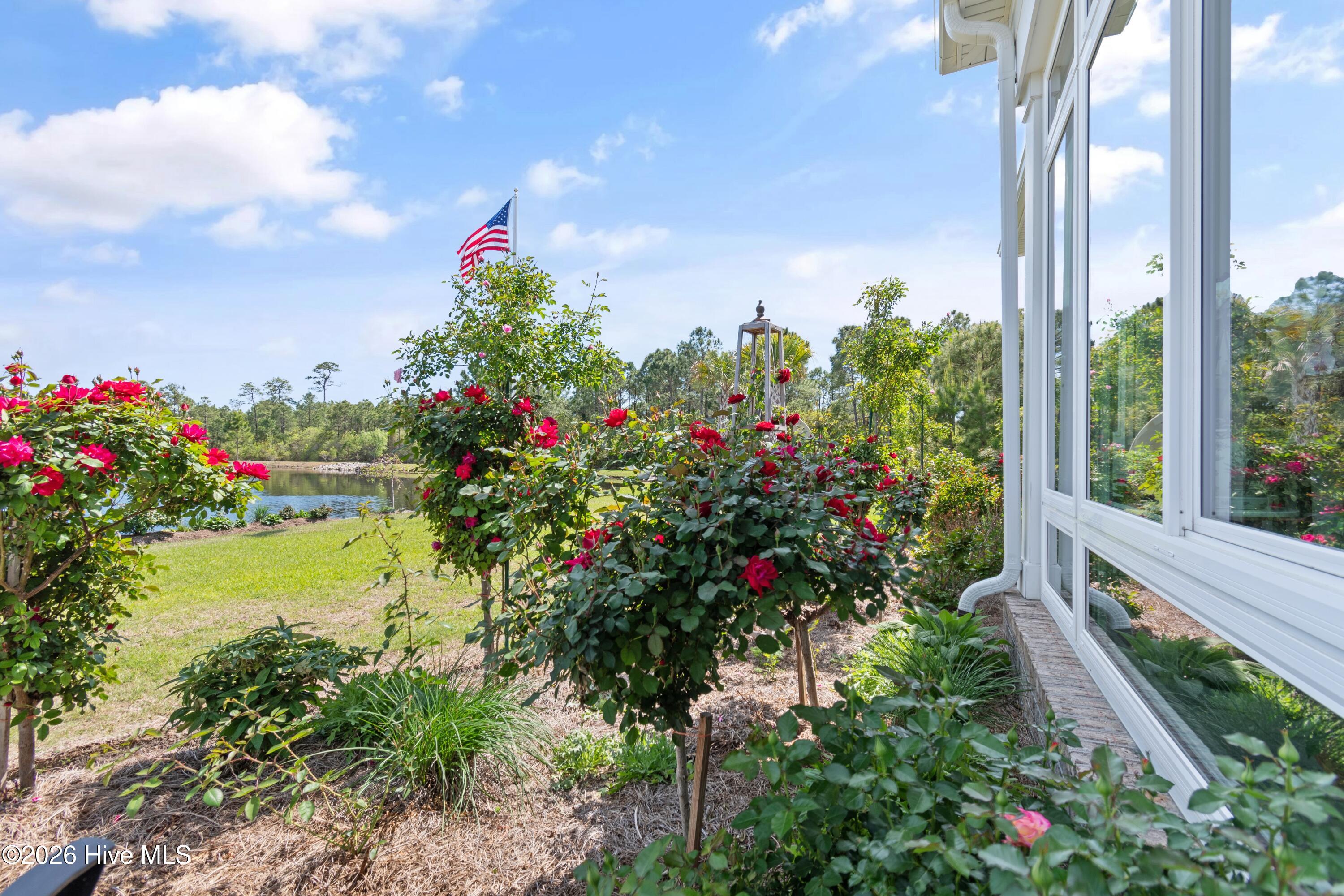 100560288 | Photo 94