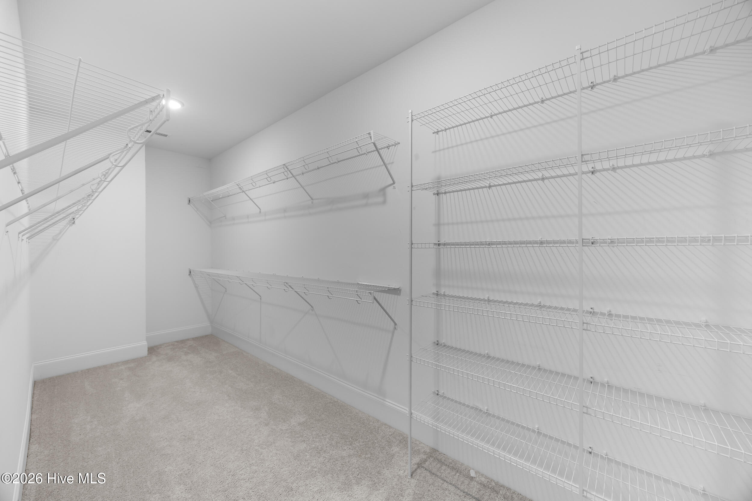 100567603 | Photo 33