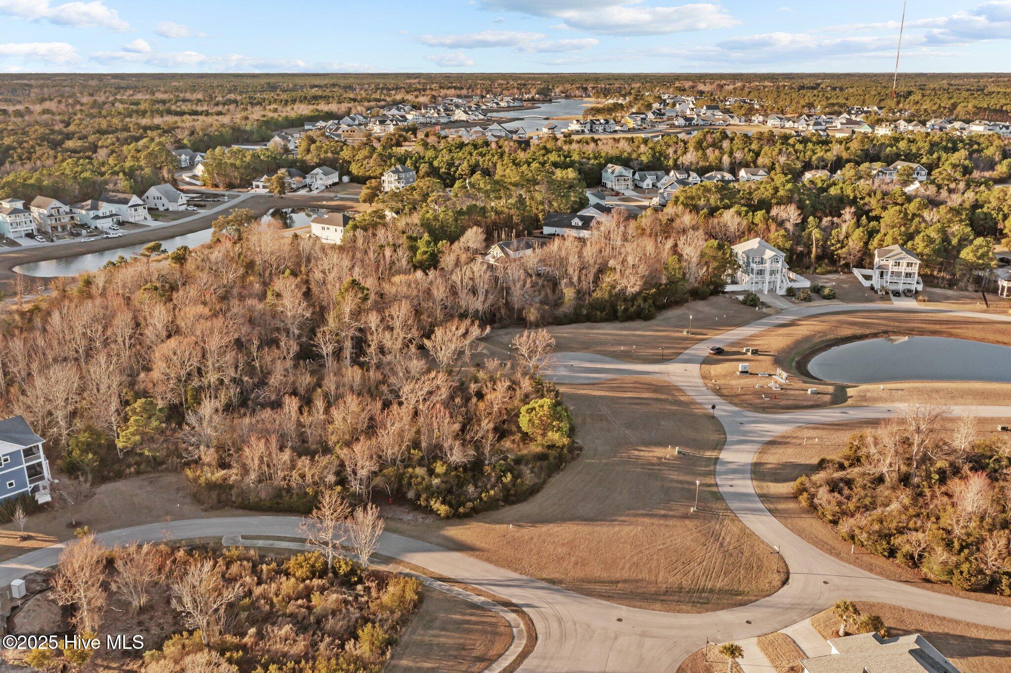 100559624 | Photo 12