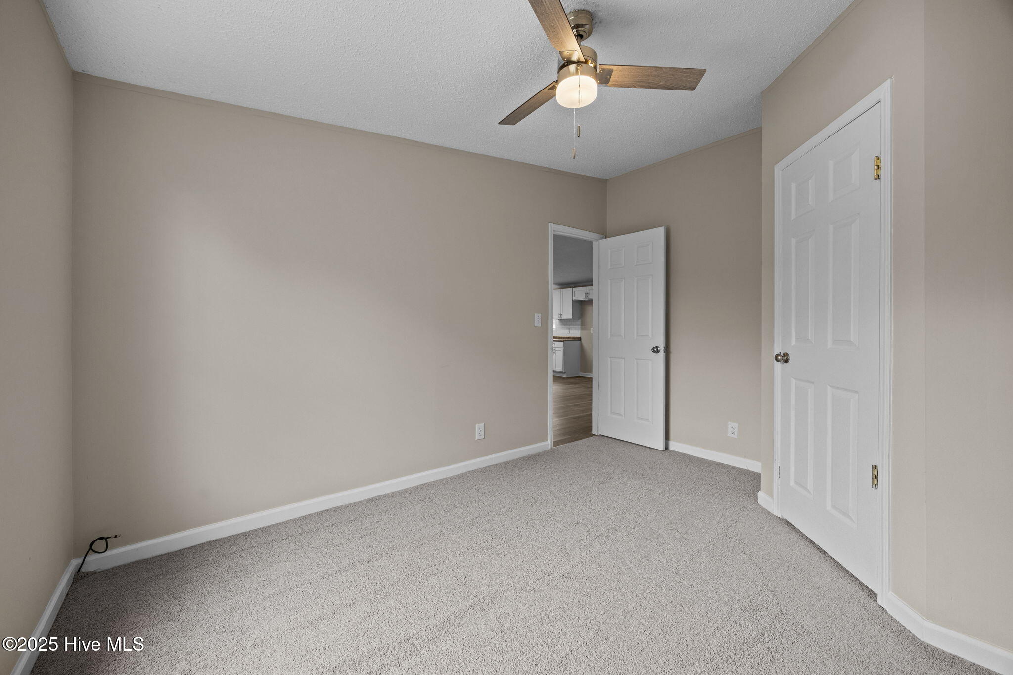 100538807 | Photo 30