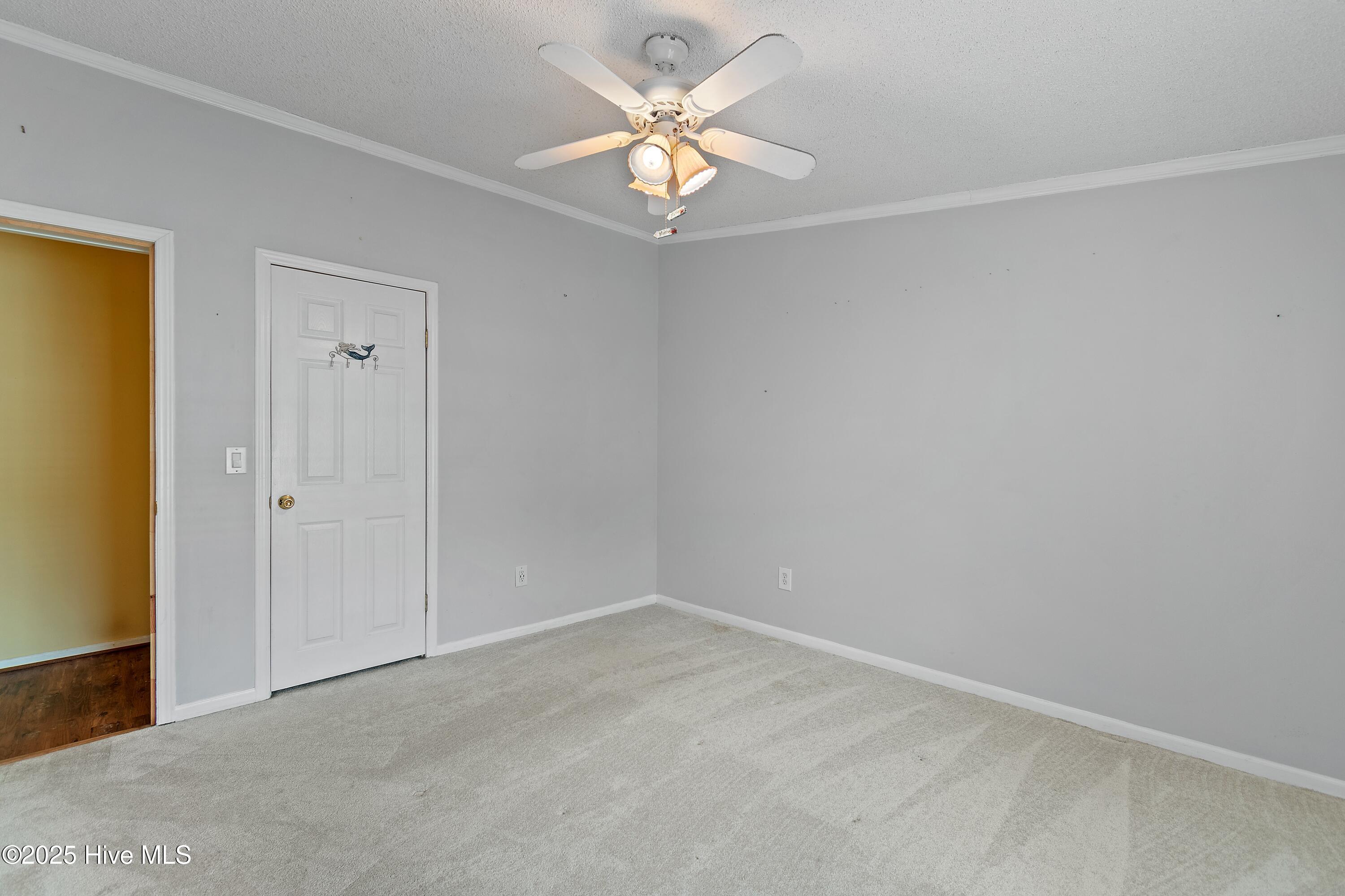 100542412 | Photo 23