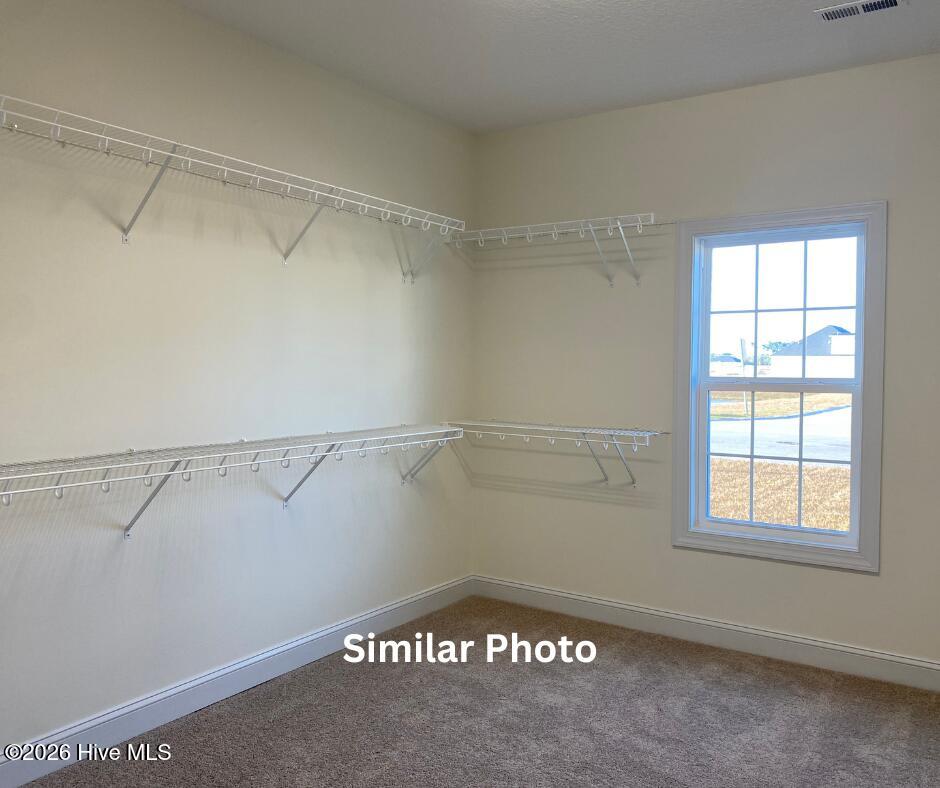 100567501 | Photo 18