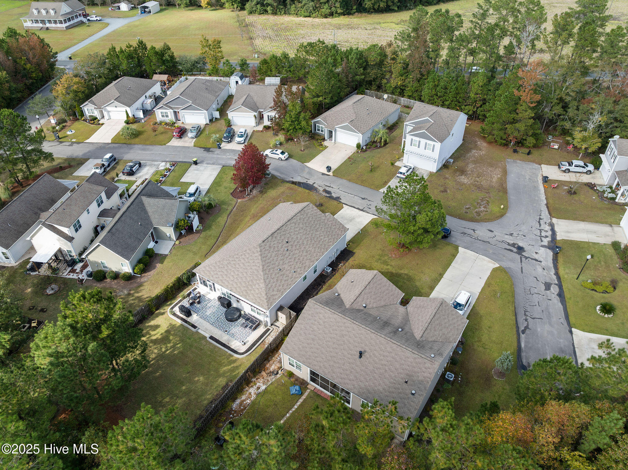 100539651 | Photo 53