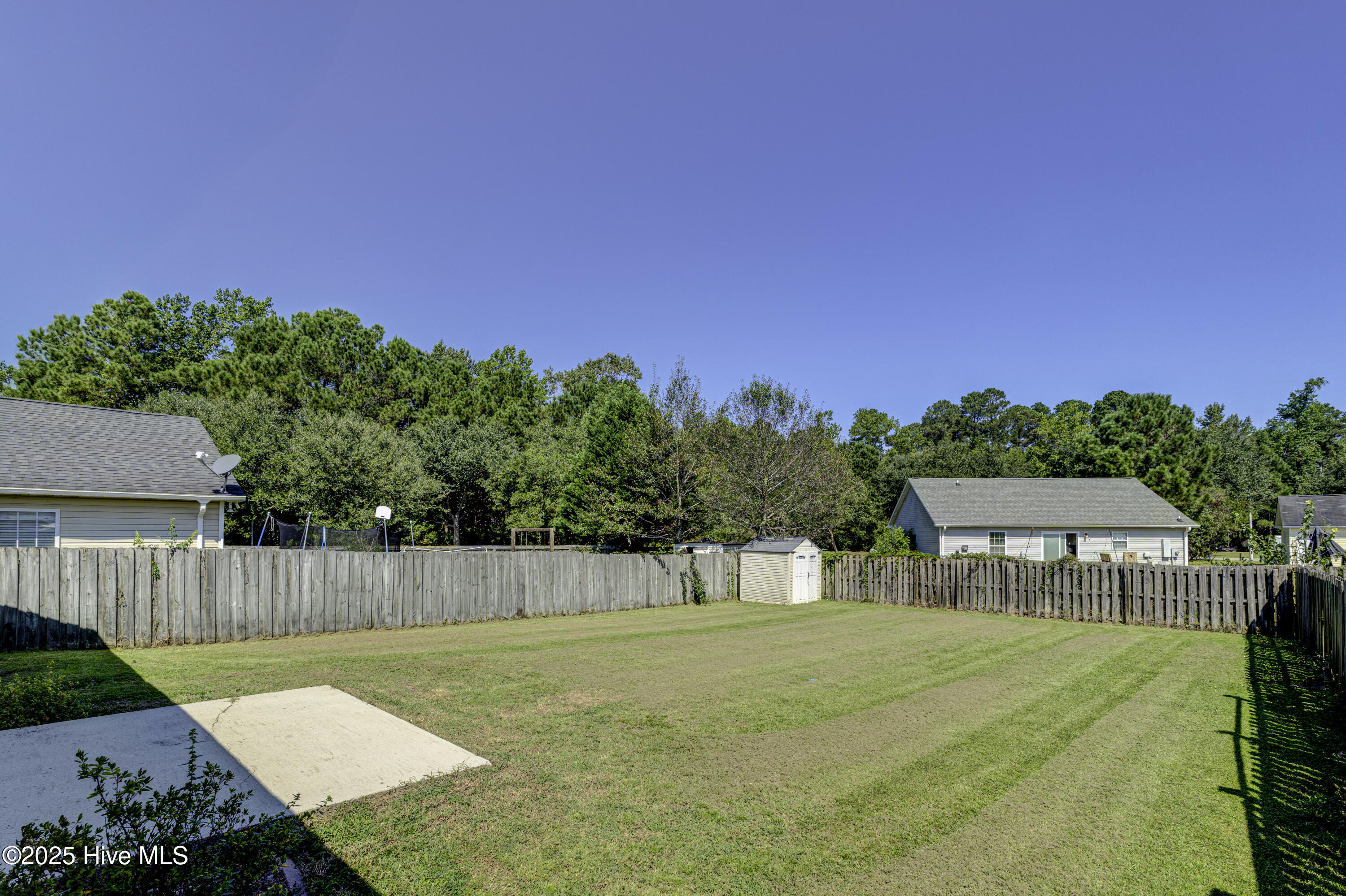 100531286 | Photo 39