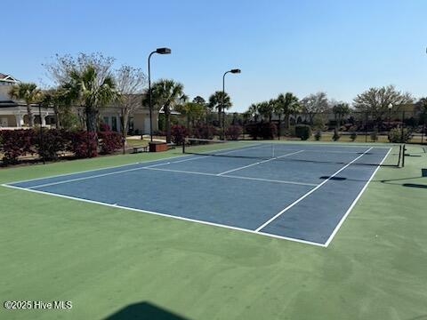 100539941 | Photo 38