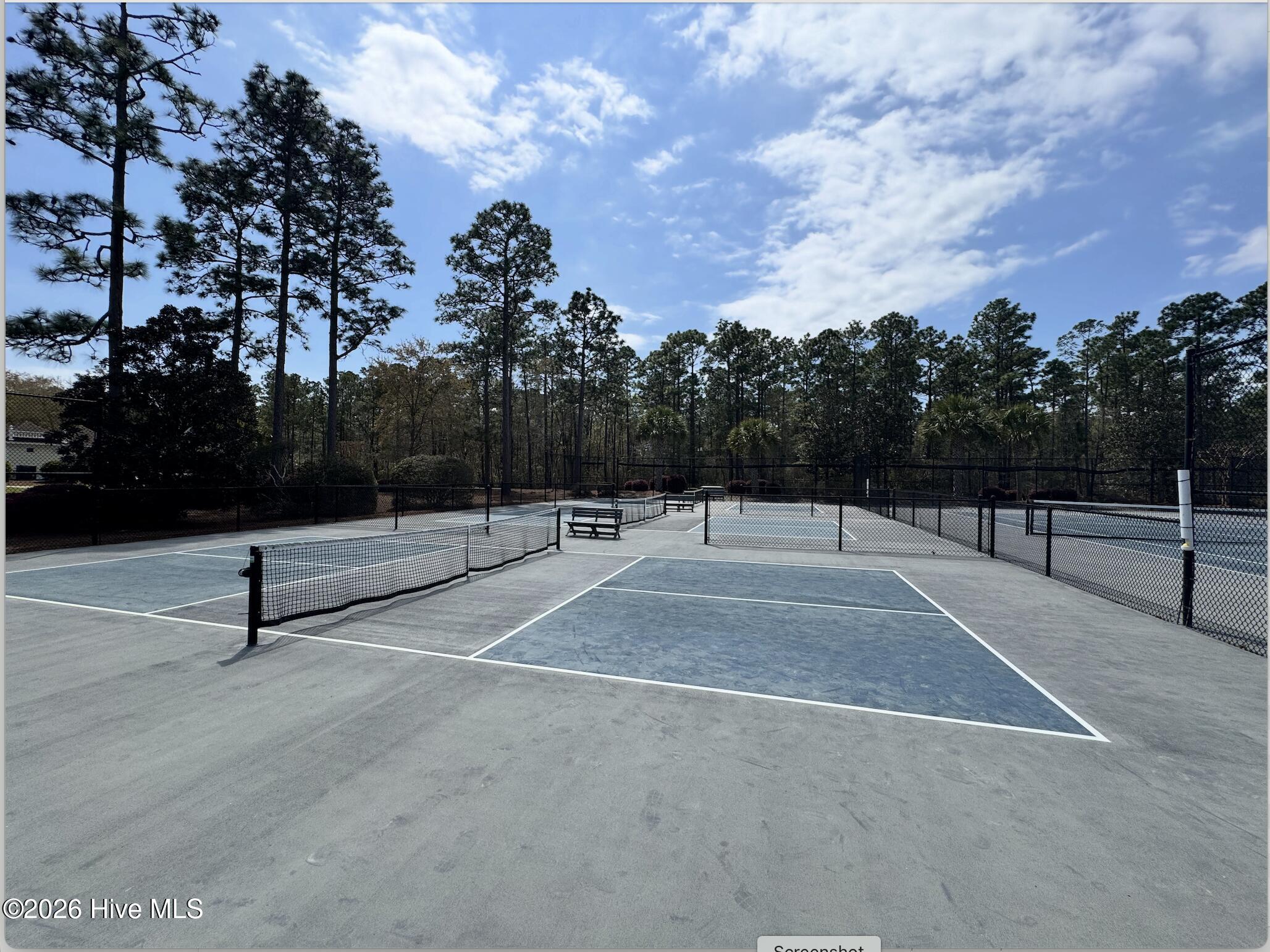 100563082 | Photo 12