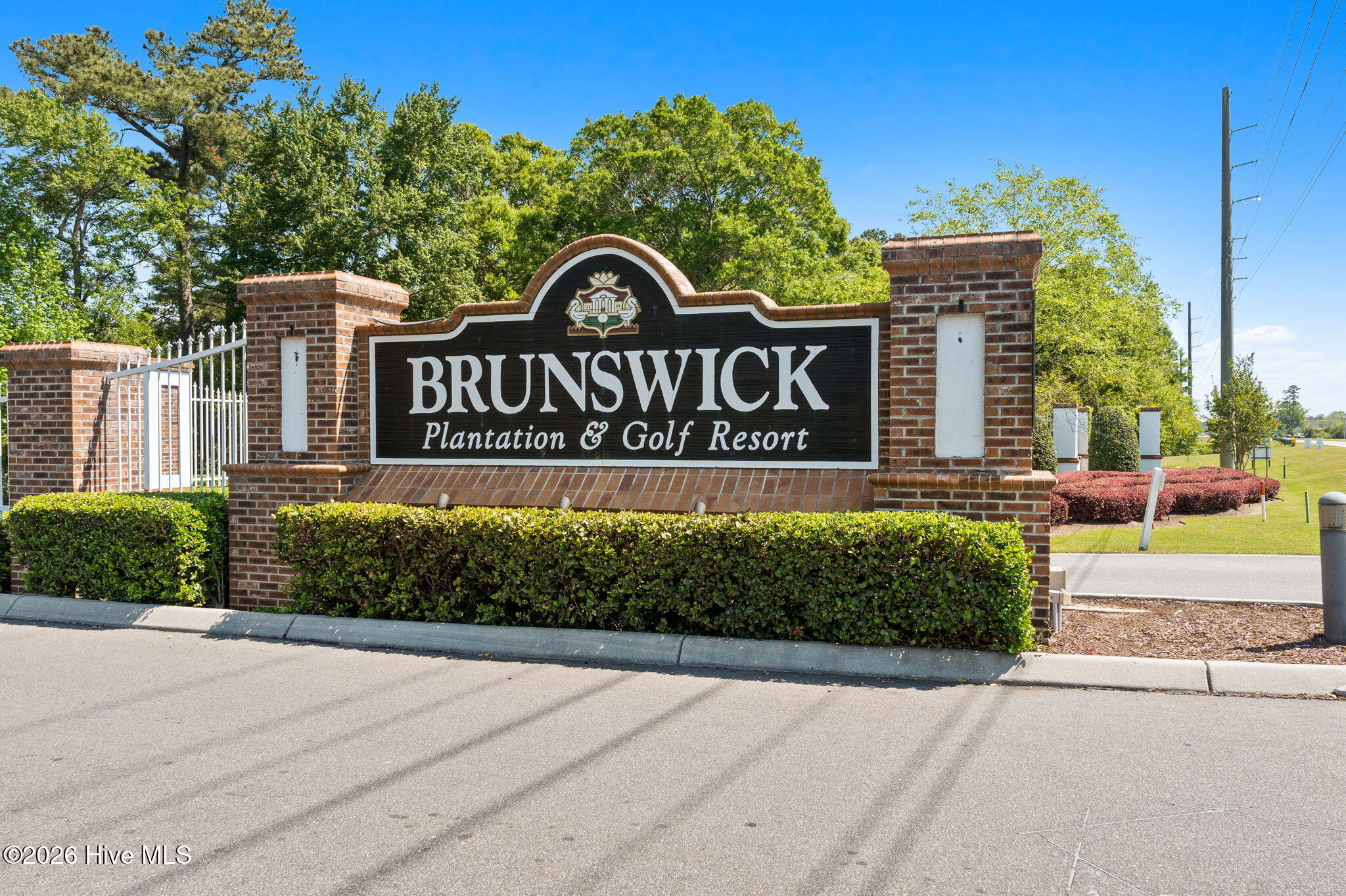 100567256 | Photo 56