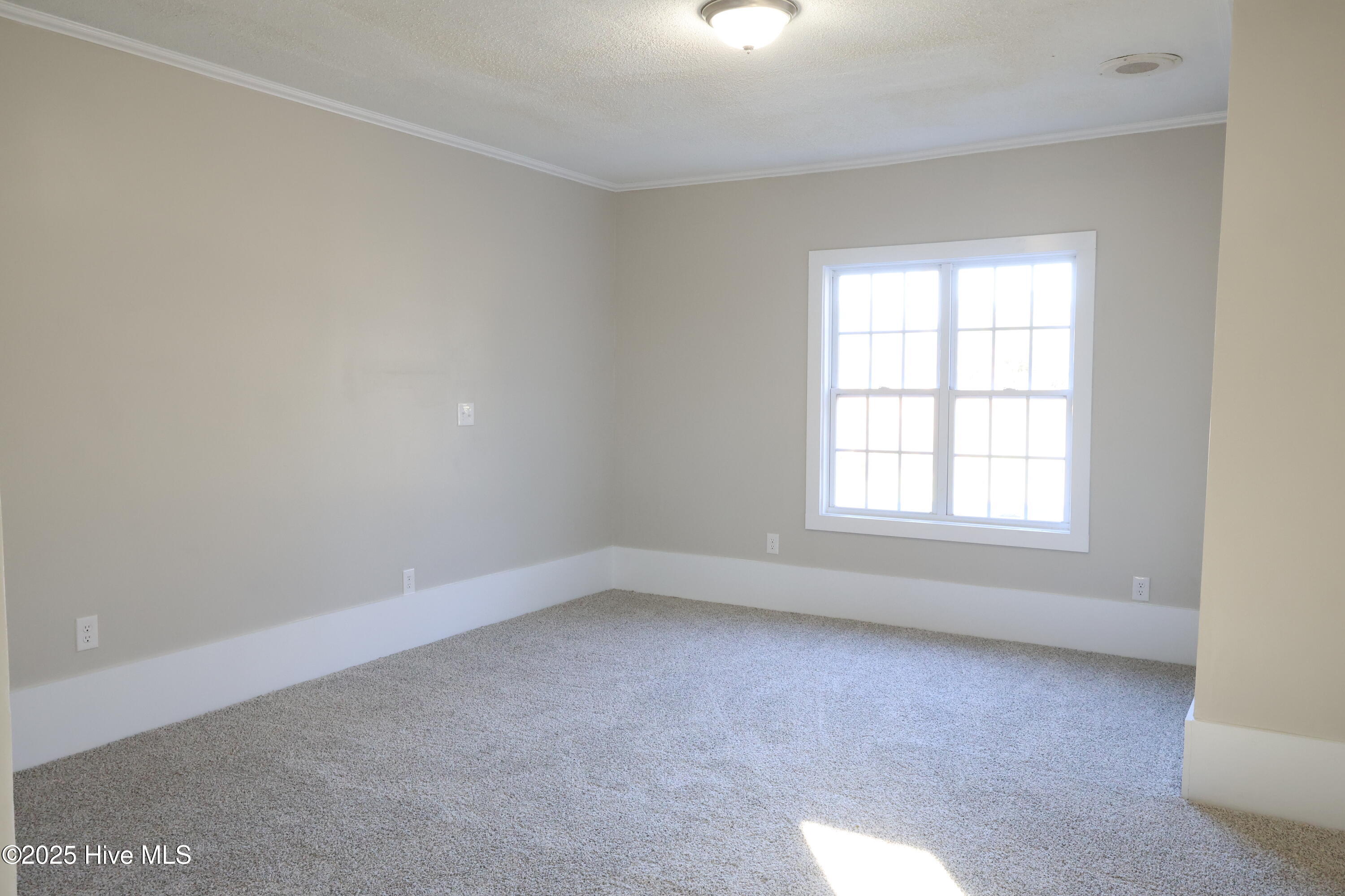 100554143 | Photo 10