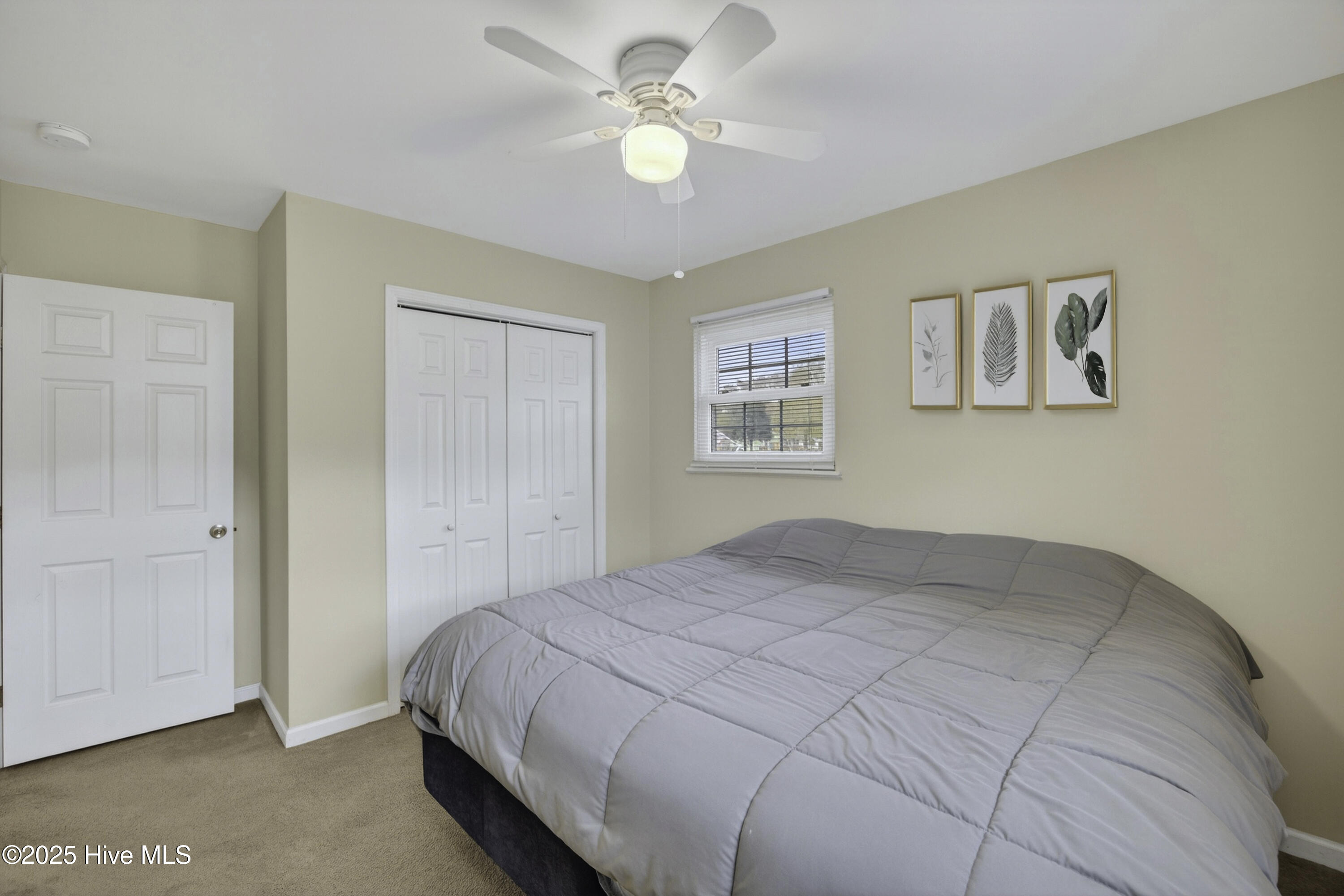 100544065 | Photo 29