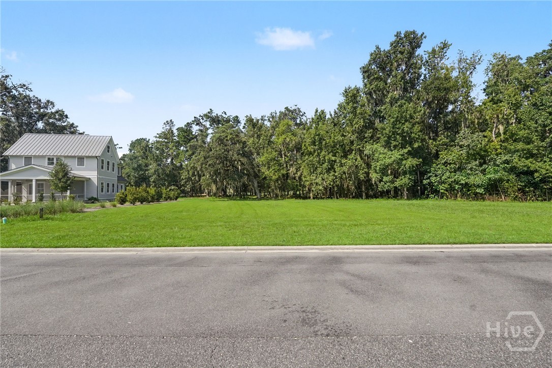 Photo 1 of Land for sale at 245 Little Lulu Ln, Richmond Hill, GA 31324 | MLS# SA363140 | Listing updated on 2026-09-18