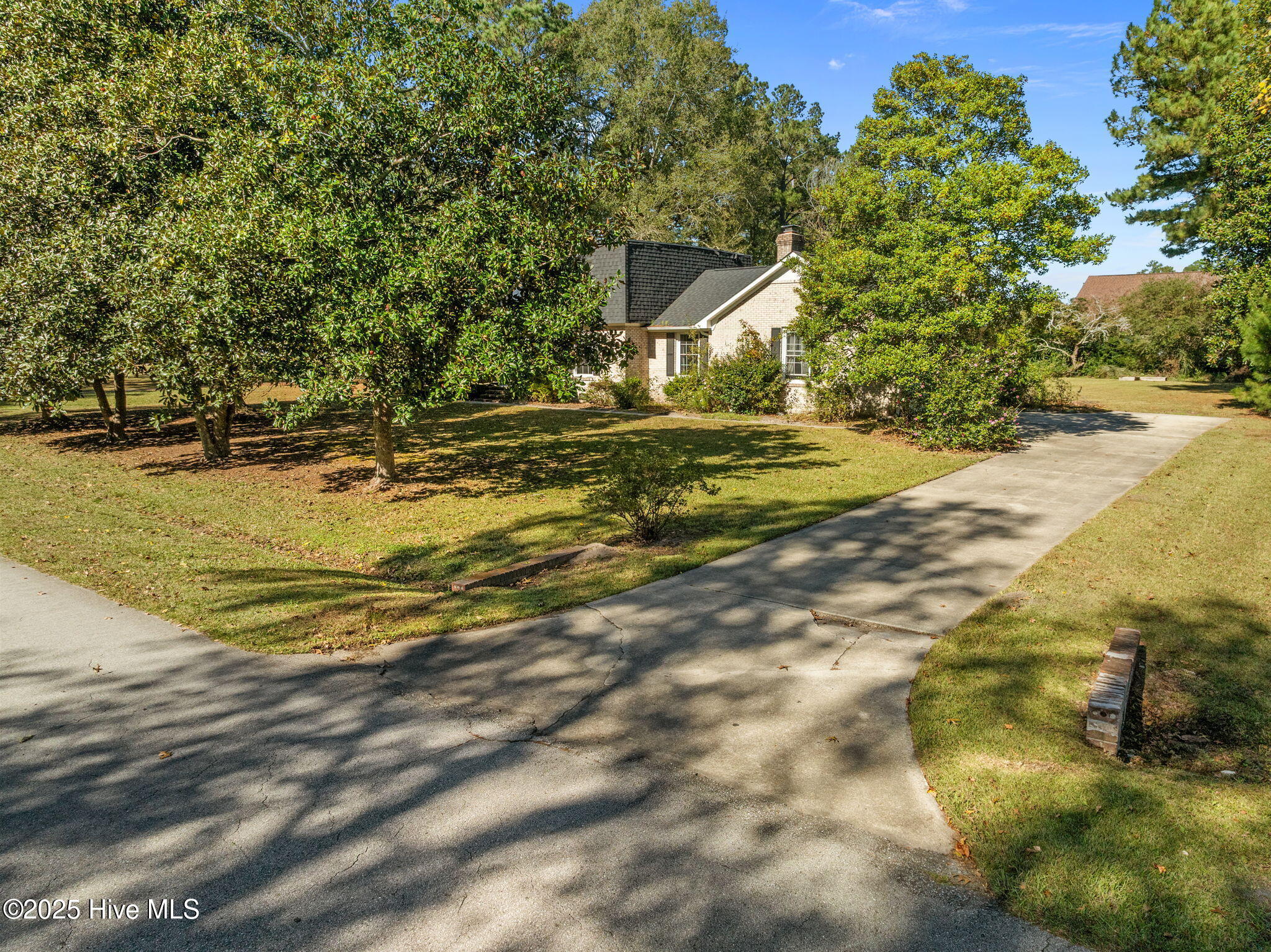 100537375 | Photo 10