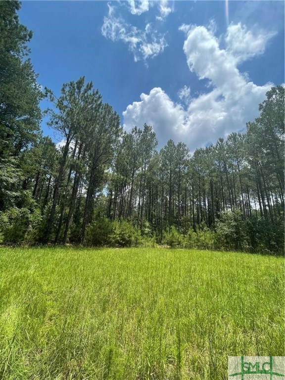 0 RAHN STATION Road, Springfield, GA, 31329