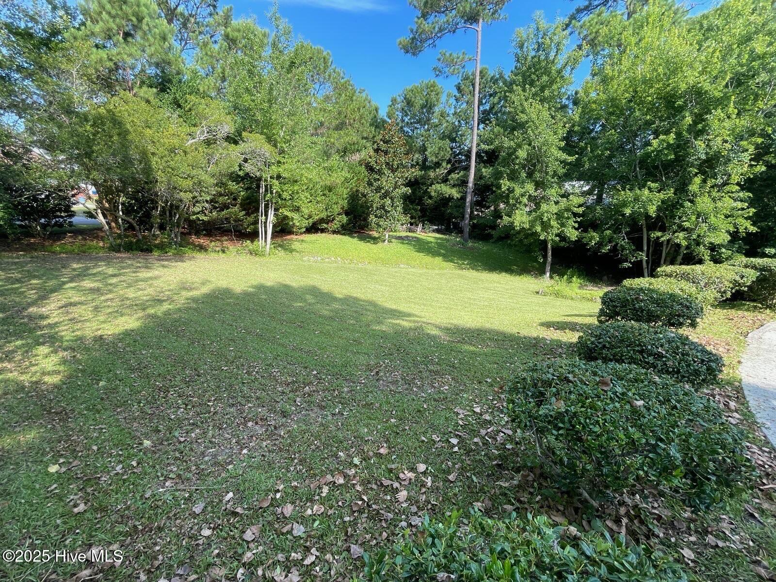 100522001 | Photo 60