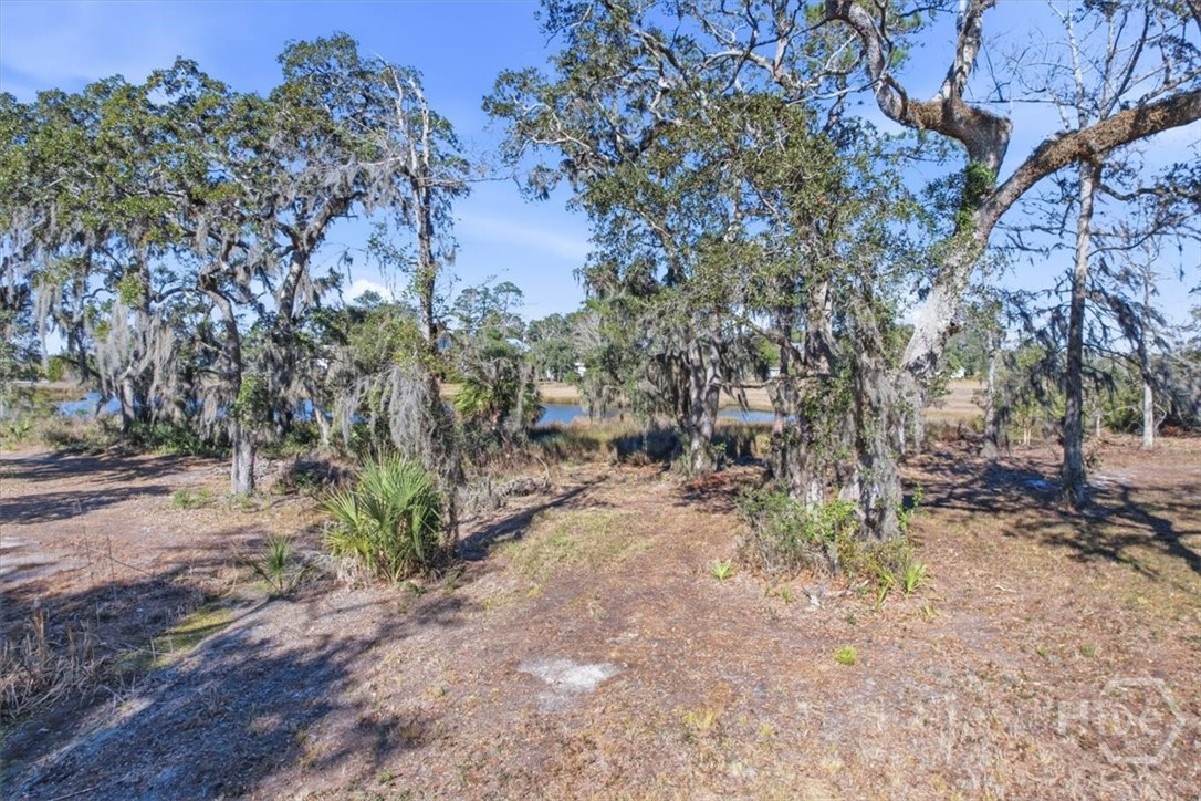 Homes for sale in Midway, GA | Lot 3 Bermuda Bluff Ln, Midway, GA 31320 | MLS# SA348556