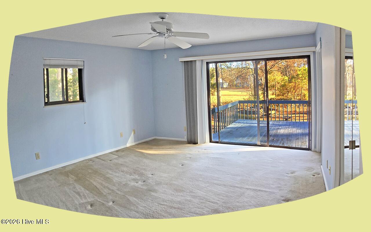 100551235 | Photo 13