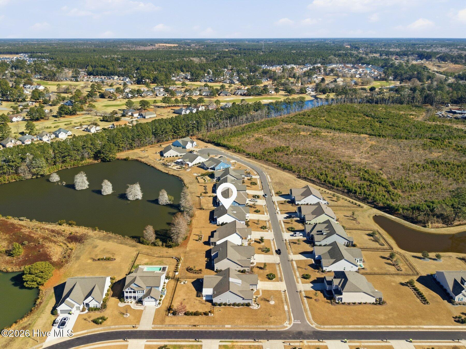 100551985 | Photo 50