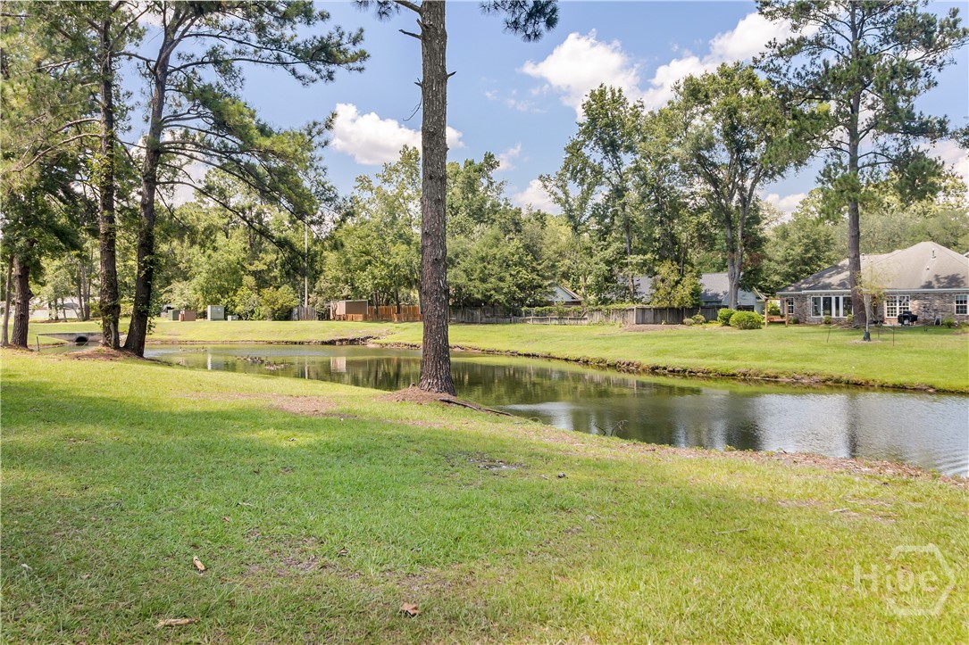 Backyard - Lagoon