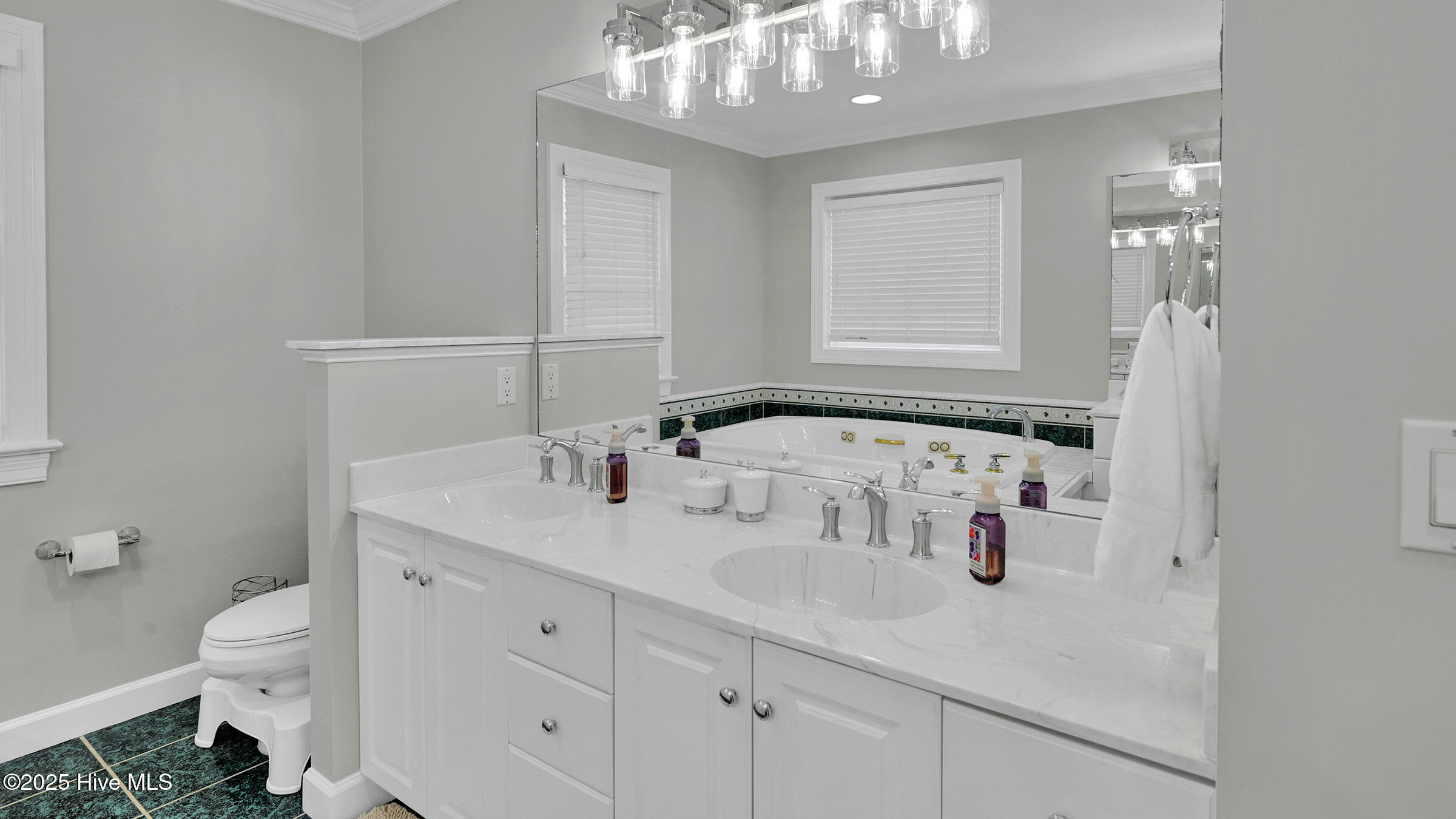 300 Silverleaf Court, Greenville, NC, 27834