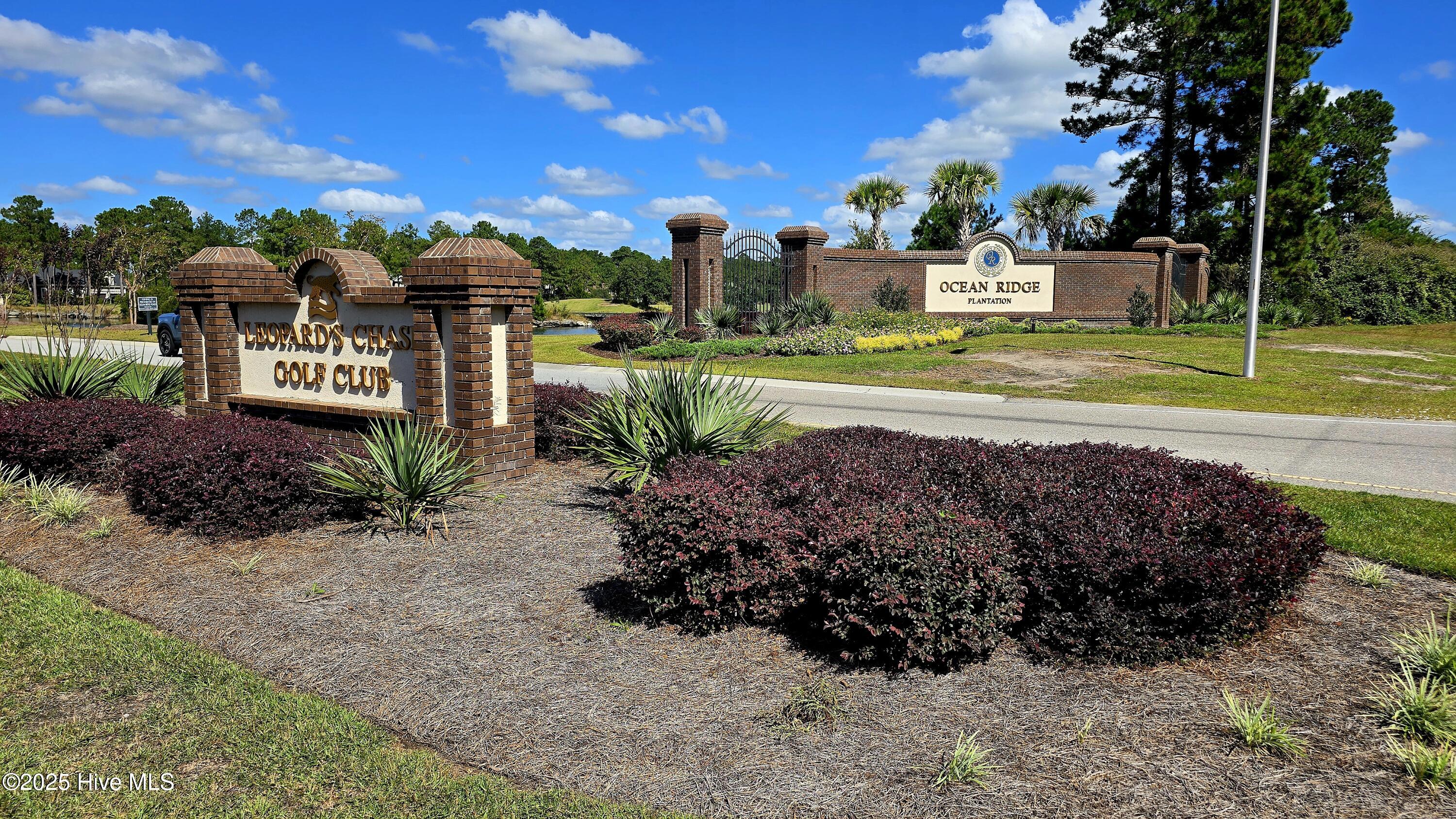 100534264 | Photo 14