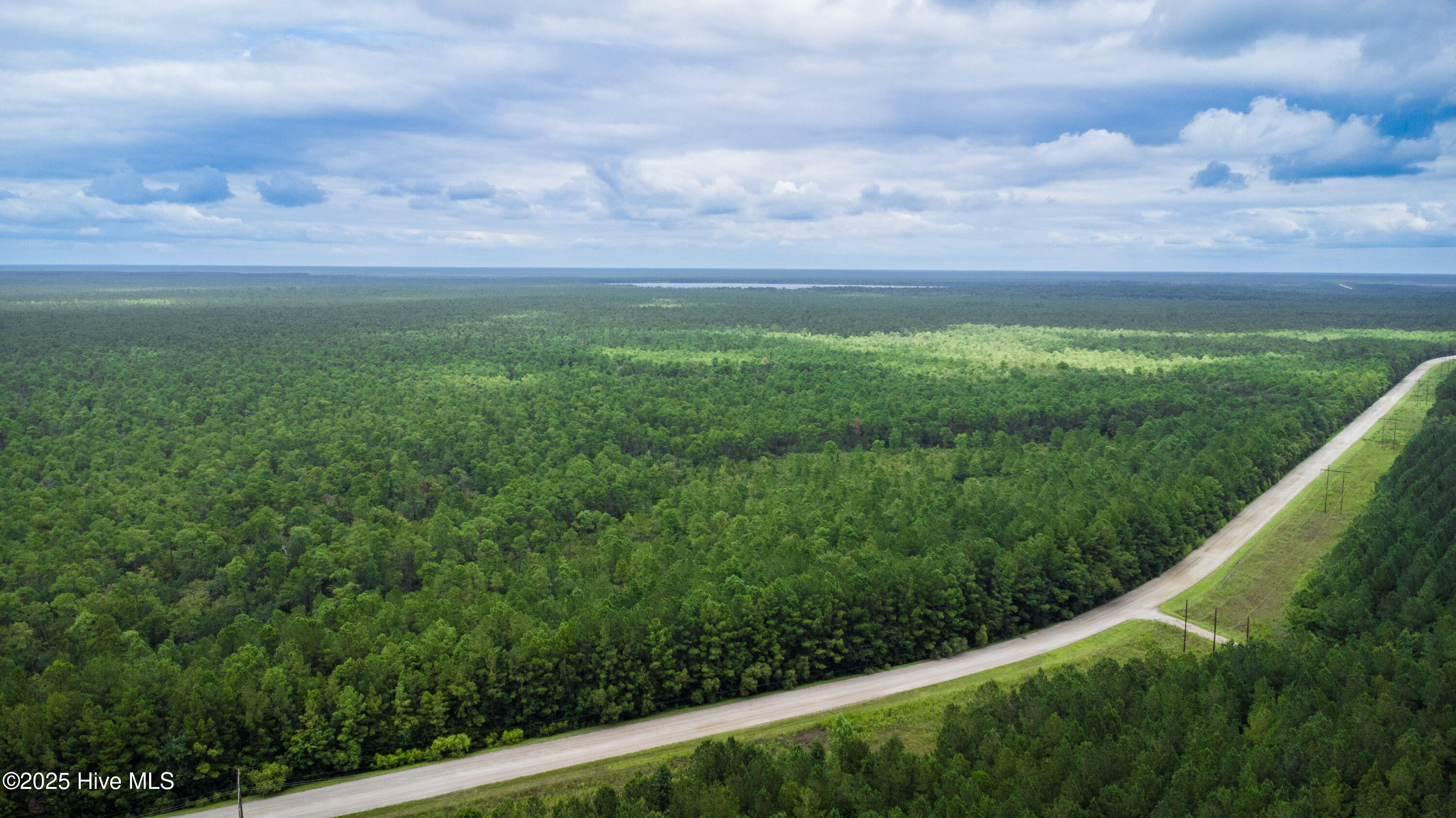 Homes for sale in Maysville, NC | Tbd Catfish Lake Rd, Maysville, NC 28555 | MLS# 100526381