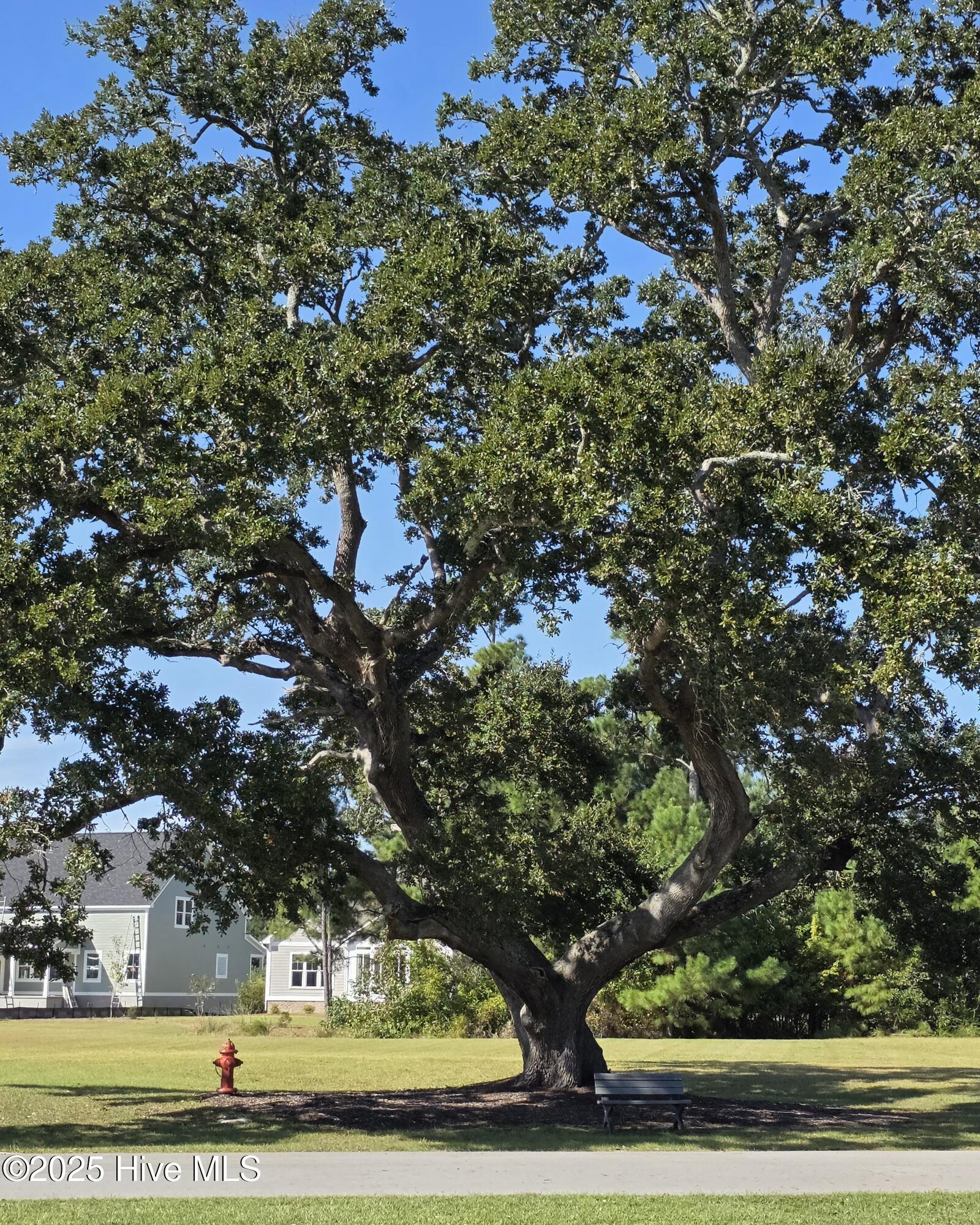 100564274 | Photo 36